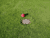 100 Yards to Next House