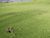 Looking for Something Buried