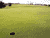 A Hole in One No More