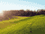 Sunny Hillside - Looking West
