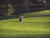 The Last Golfers