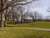 Many Oaks and a Cart Path - Looking East